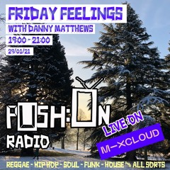 PUSH:ON RADIO "Friday Feelings" Jan 2021 with special guest Luna Rae aka DJ SPUDDY!