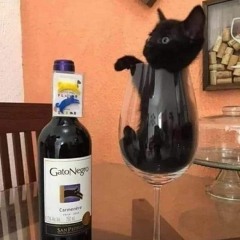 i hope that i dont fall in love with you