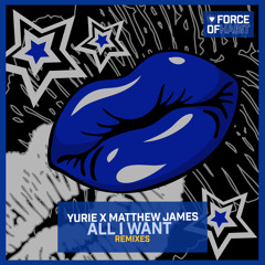 All I Want (FREMONT (US) Remix)