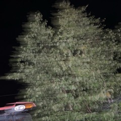 such a dream (prod. thesamethingafterall)