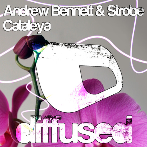 Cataleya (Original Mix)