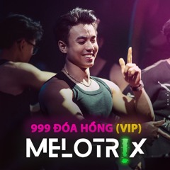 Thái Hoàng - 999 Đoá Hồng (MELOTRIX VIP) | VIRAL