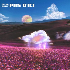 Selug & Durt (.Wave) - Pas d'ici