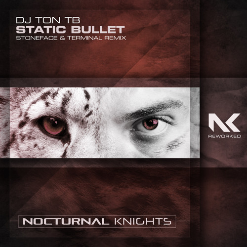 Static Bullet (Stoneface & Terminal Extended Remix)