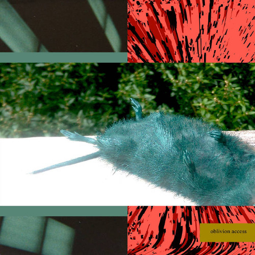 LIL UGLY MANE - DRAIN COUNTER