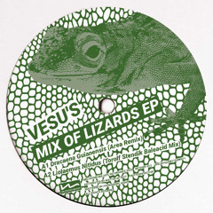 VINYL-B2 Vesu_s - Dracaene Guianensis (Otto Taimela Remix)