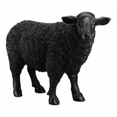 Black Sheep (Prod. By Ben Maker)