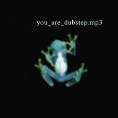 YOU ARE DUBSTEP 1