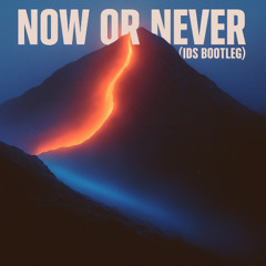 TKANDZ - Now Or Never (IDS BOOTLEG) [FREE DOWNLOAD]