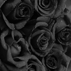 DJ Big N x Ayra Starr x Oxlade - How Many Times