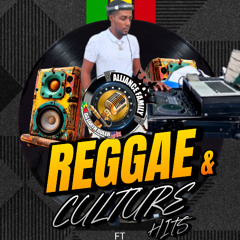 Reggae & Culture  Hits Ft Selector System