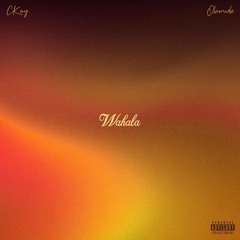 CKay ft. Olamide - Wahala ( Instrumental ) 97 bpm / 194 bpm