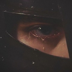 Havasam-Tlkhoon X Matin Fattahi (Slowed And Reverb)