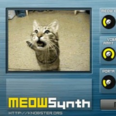 Meowt On The Town