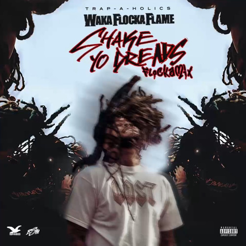 Waka Flocka Flame - Shake Yo Dreads [Flockmix] Hosted by Trap-A-Holics