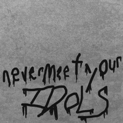 never meet ur idols