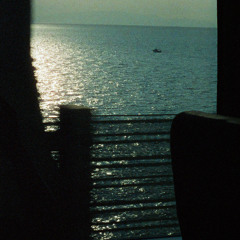 sunlight