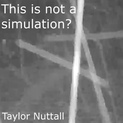 This is not a simulation?