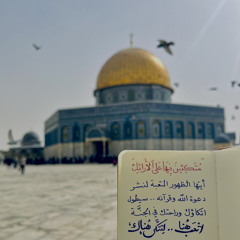 طافت بيّ الذكرى علاء ناجي
