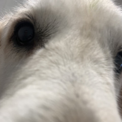 Baby Please 202311202