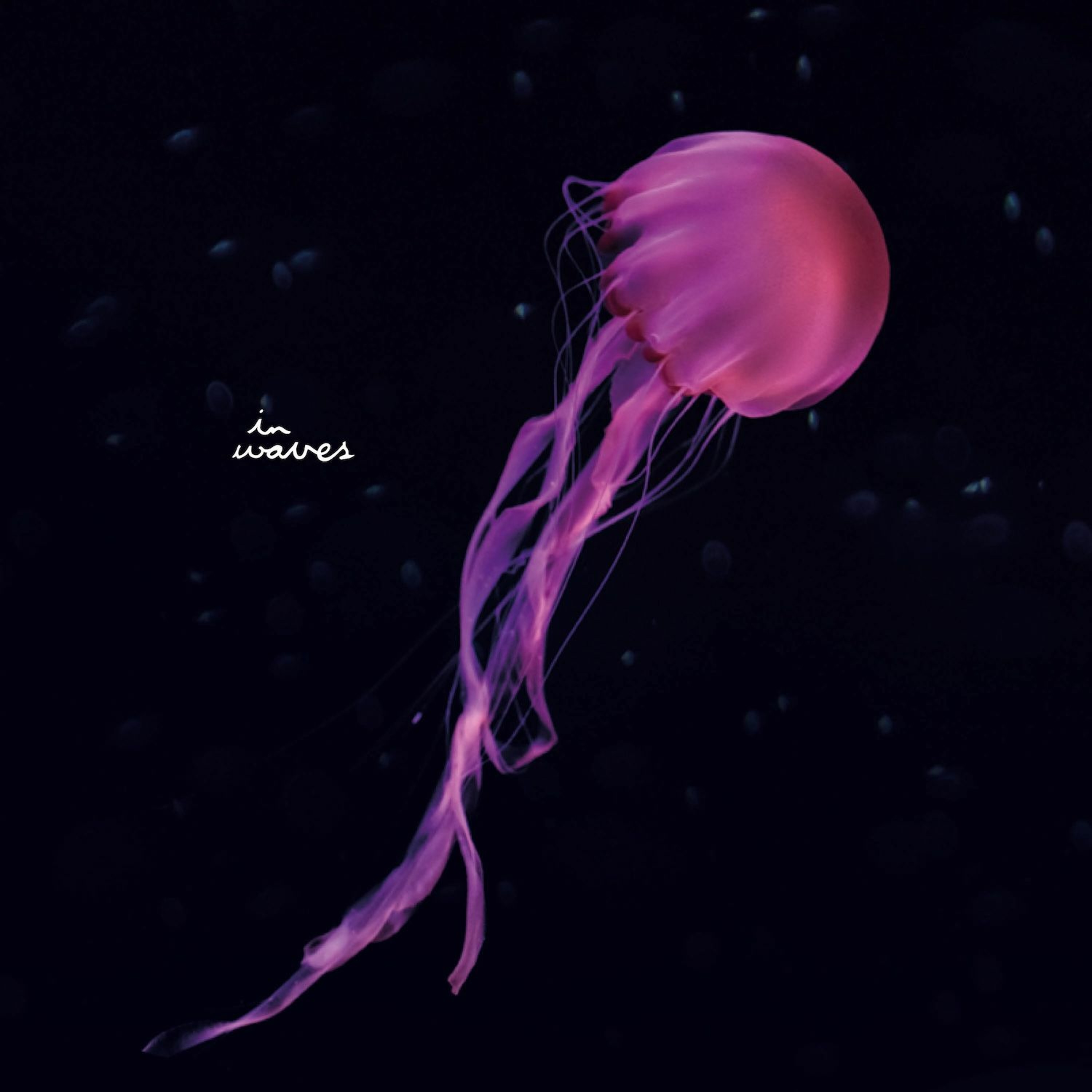 Flowers On Monday - Horizons (feat. Weam Ismail) episode artwork