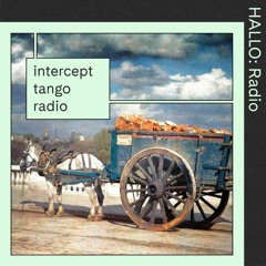 "INTERCEPT TANGO RADIO" 01 - Robert Etzold - 30/05