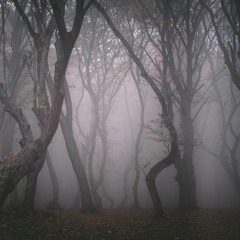 Systomatik Synthesis Vol - 2