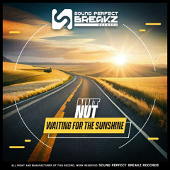 Nut - Waiting for the Sunshine (Original mix)