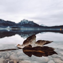 Farewell [Maunz & Engelhardt] | labfortyone