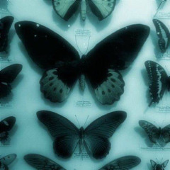 washing machine heart [speed up] 🦋