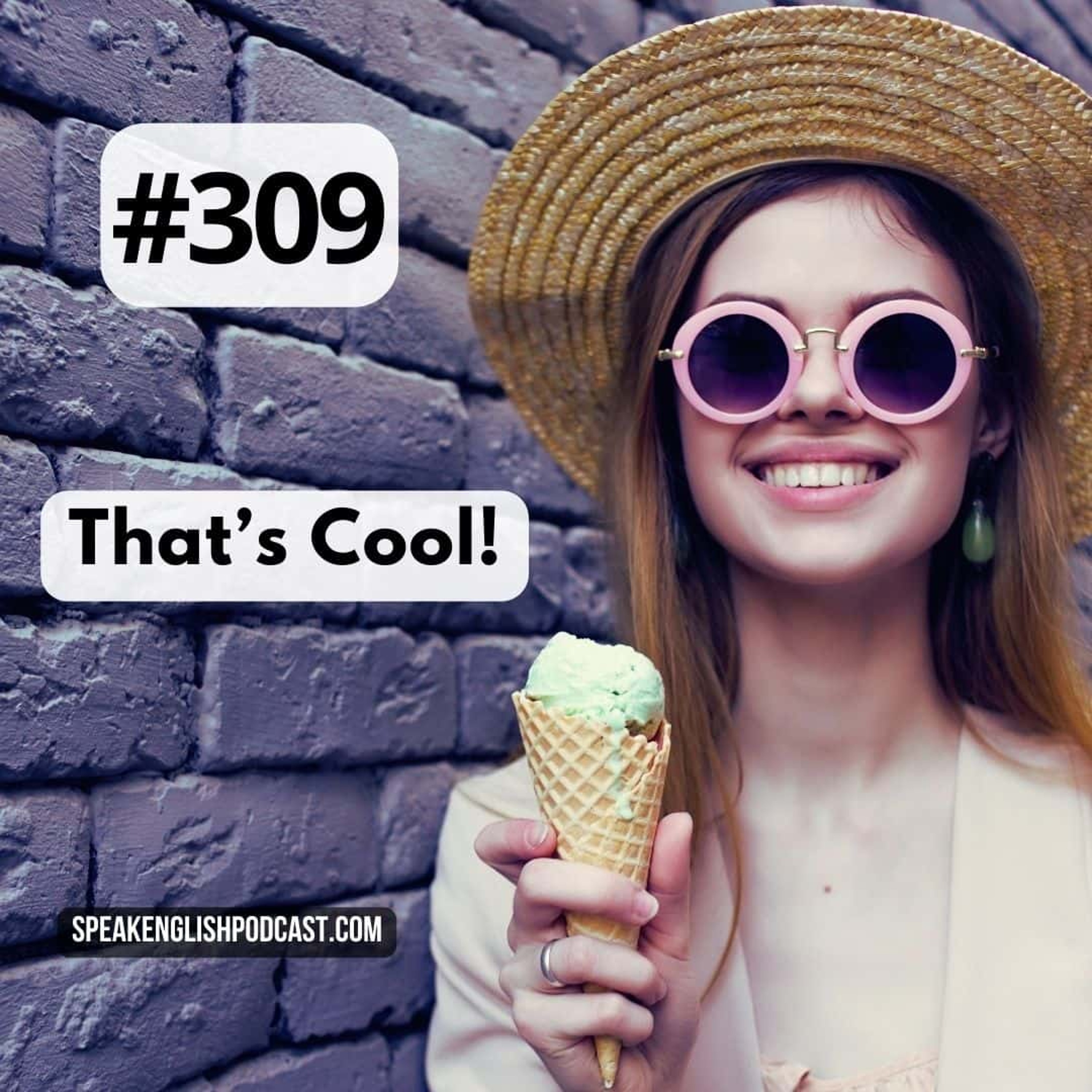 #309 English expressions - That's cool episode artwork