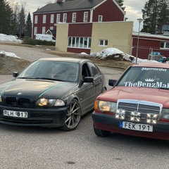 fågelmat