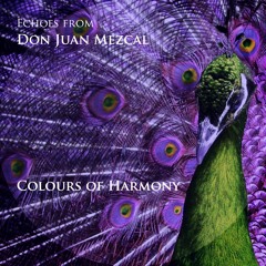 Echoes from Don Juan Mezcal - Colours of Harmony