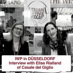 Ep. 1364 Elise Rialland | Italian Trade Agency Masterclass Wineries In Germany