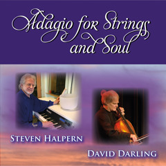 Adagio for Strings and Soul (feat. David Darling)