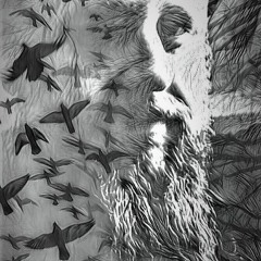 Why Not? (Dream Sleep)