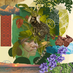 NAOBA - BIOSPHERES & THE VOICES OF EARTH | Album Mix | April 2025