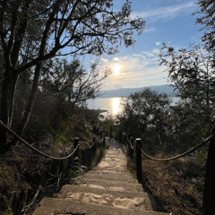 ANOTHER TURN AROUND THE SUN  ( ENGLISH COVER )