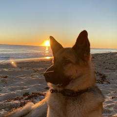 Desert Heat: Afro House Mix