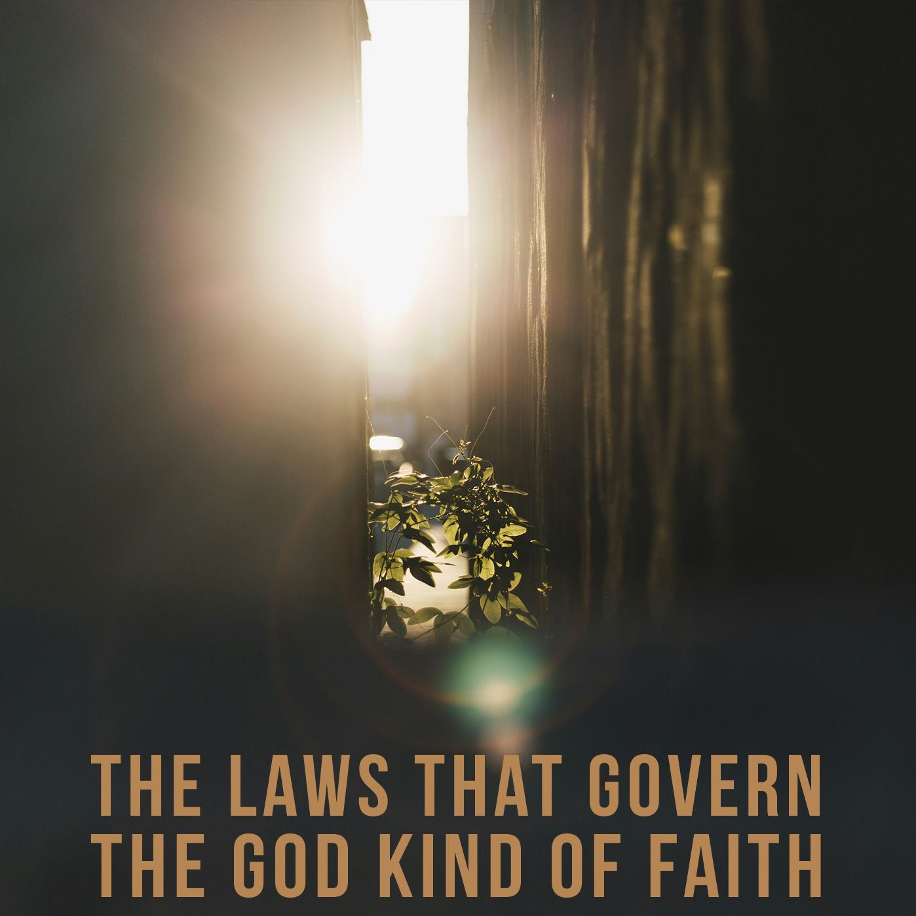 The Laws that Govern the God Kind of Faith episode artwork