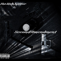 Second Amendment