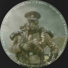 D.N.S - AGSTP [Cut] Dreizehn Schallplatten