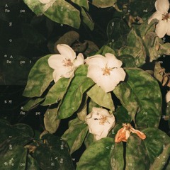 Aiwa - Repetitions (FARB041 | 2024)