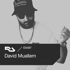 EX.497 David Muallem