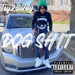 Tay2Sturdy - Dogshit