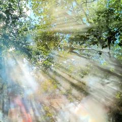Unfold