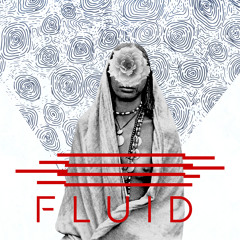 Fluid MC Edit