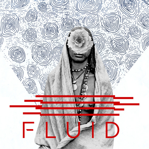 Fluid MC Edit