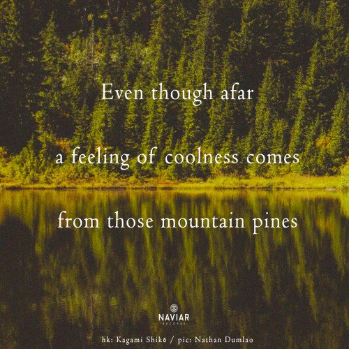a feeling of coolness comes [naviarhaiku575]