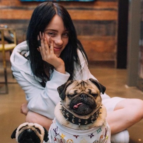 Billie Eilish x Niall Horan (Too Much Power) - Remix